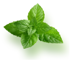Leaf.png - Naira Buffet à Domicílio